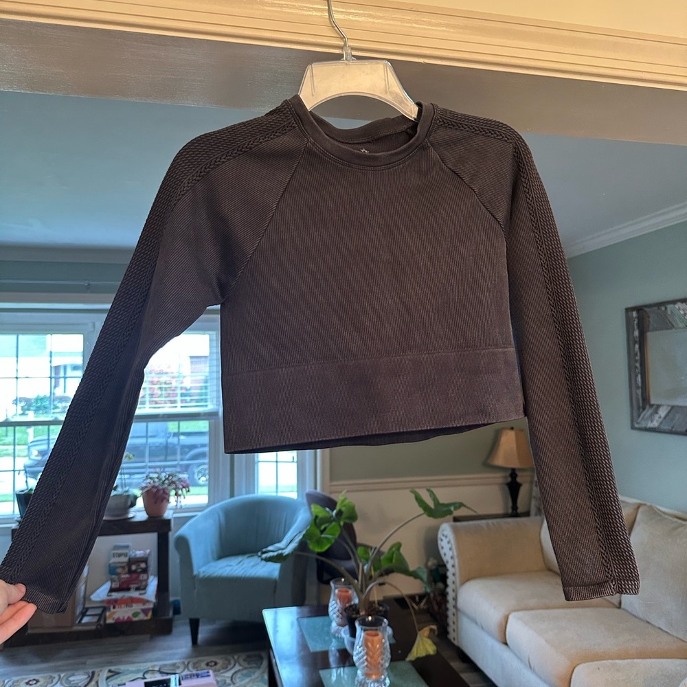 Aerie Gray Fitted Cropped Long Sleeve Sweatshirt